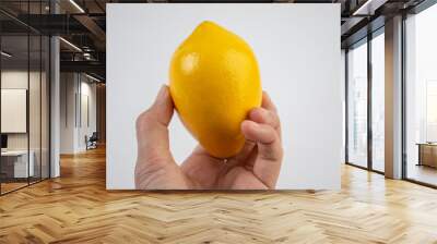 lemon in hand Wall mural