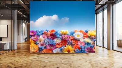 Small petal colorful fresh flowers top view blue sky background Wall mural