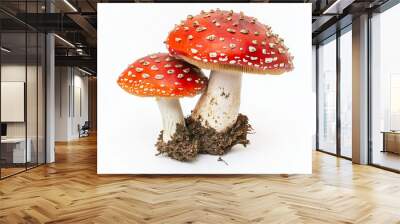 Red mushroom isolated on white background, Close up shot poisonous red mushroom, Red mushroom with rough mushroom cap. Wall mural