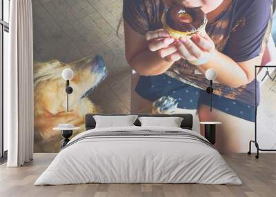 dog want to eat donut Wall mural