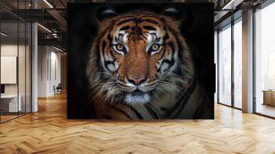 Angry tiger,Sumatran tiger (Panthera tigris sumatrae) beautiful animal and his portrait Wall mural