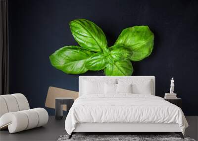 aromatic plant with cardboard label Wall mural