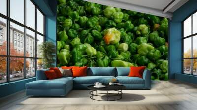 Green fresh and organic Scotch Bonnet in Sri Lanka Wall mural