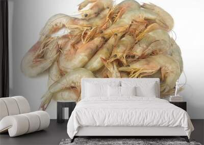 Fresh shrimp prepared  Wall mural