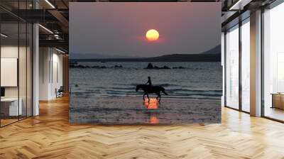 Horse on the beach at sunset  Wall mural