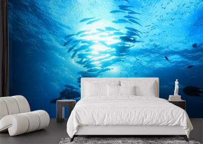 Great Barrier Reef Wall mural