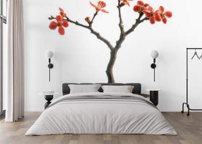 A stunning bonsai tree in a minimalist pot, showcasing vibrant red flowers, perfect for home decor or wellness themes. Wall mural