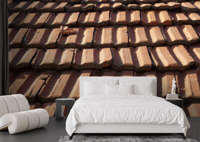 Cracked clay roof tiles Wall mural