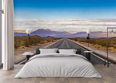 Panoramic image of a lonely, seemingly endless road in the desert Wall mural