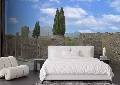 View of the historic ruined city of Pompeii in Italy with the volcano Vesuv Wall mural