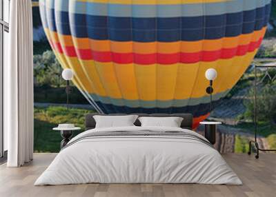 Landing of a hot air balloon in Cappadocia, Turkey Wall mural