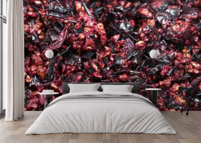 Pressed grape pomace, seeds and skins. Winemaking background. Wall mural