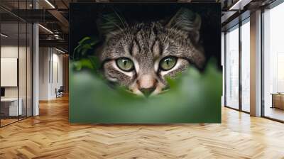 Cat wallpaper. Cat poster Wall mural