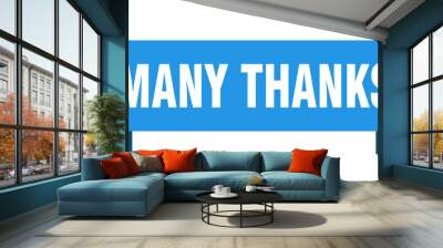 many thanks ribbon. many thanks isolated band sign. many thanks banner Wall mural