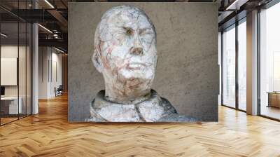 The head of an old statue Wall mural