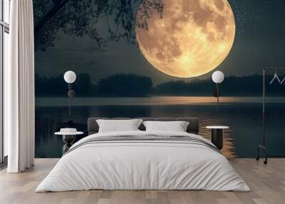 Moonlit night with a boat floating on a calm, still lake picture Wall mural