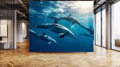 Playful pair of dolphins swimming under bright ocean sunlight Wall mural