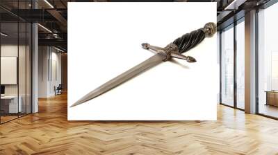 medieval dagger replica Wall mural