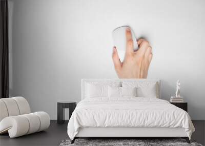 A female(woman) hand hold a mouse isolated white at the studio. Wall mural