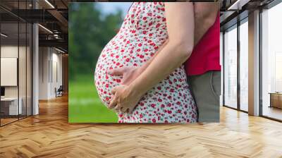 Husband hands on pregnant woman belly Wall mural