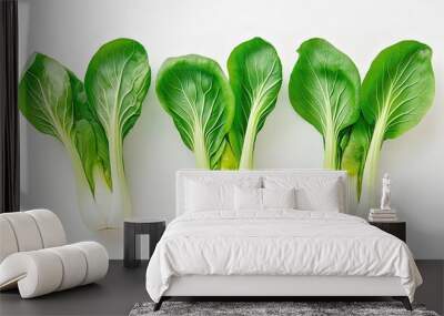 fresh green cabbage leaves on white background Wall mural