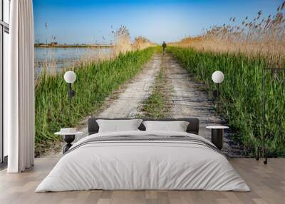 .man in green way with lake under sky Wall mural