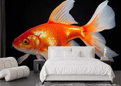 gold fish in a water on white background,Generative AI Wall mural