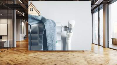 house model with scarf  in home Wall mural