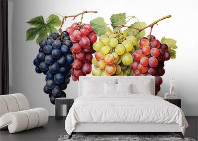 bunch of watercolor grapes isolated Wall mural