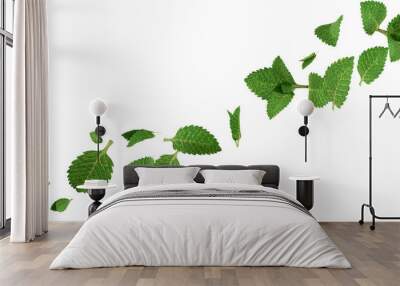 3d render flying mint leaves Wall mural