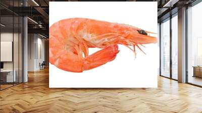 Prawns or Tiger Shrimps in White Background Wall mural