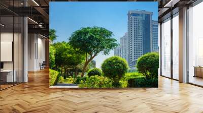  Modern buildings in Dubai Marina UAE Wall mural