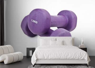 dumbbells Wall mural