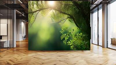 natural background with beautiful diffused light and shadows Wall mural