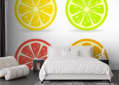 Citrus fruit slice vector icon Wall mural