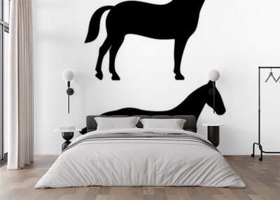 Standing and walking horse silhouette icon Wall mural