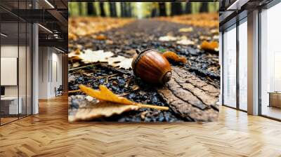 Acorn lying on a trail with fallen leaves in the background Wall mural