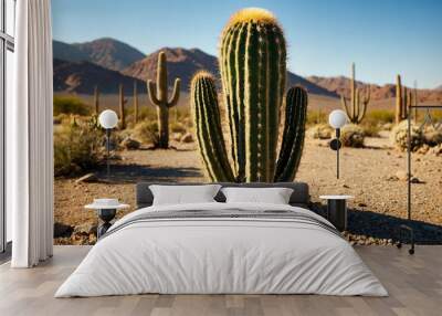 Cactus standing tall in a desert landscape under the hot sun Wall mural