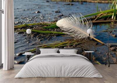 Feather stuck in the mud of a wetland with reeds swaying nearby Wall mural