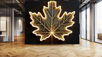 Illuminated autumn leaf with intricate details on plain black background Wall mural