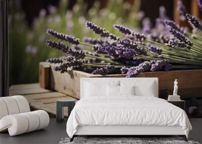 Lavender growing in wooden crate background Wall mural