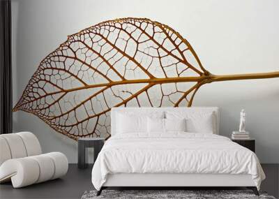 Leaf skeleton on plain white background Wall mural