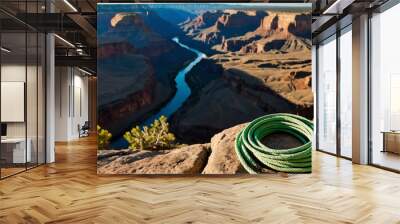 Pair of climbing ropes coiled on a rock with a canyon in the background Wall mural