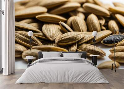 Sunflower seed on plain white background Wall mural