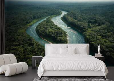 Winding river cutting through a tropical rainforest Wall mural