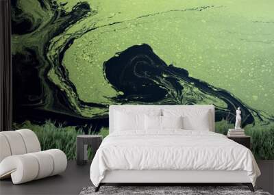 Blue-green algae Wall mural