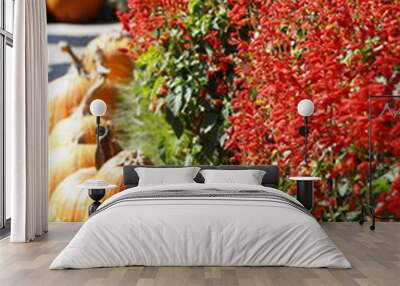 natural garden with orange pumpkin Wall mural