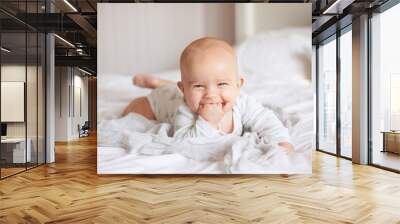 joyful baby boy Wall mural