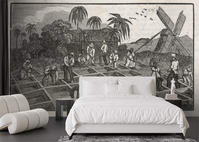 Planting in Antigua. Date: 1833 Wall mural