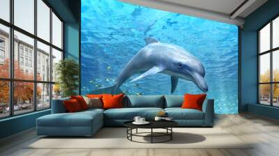 Dolphin under water Wall mural